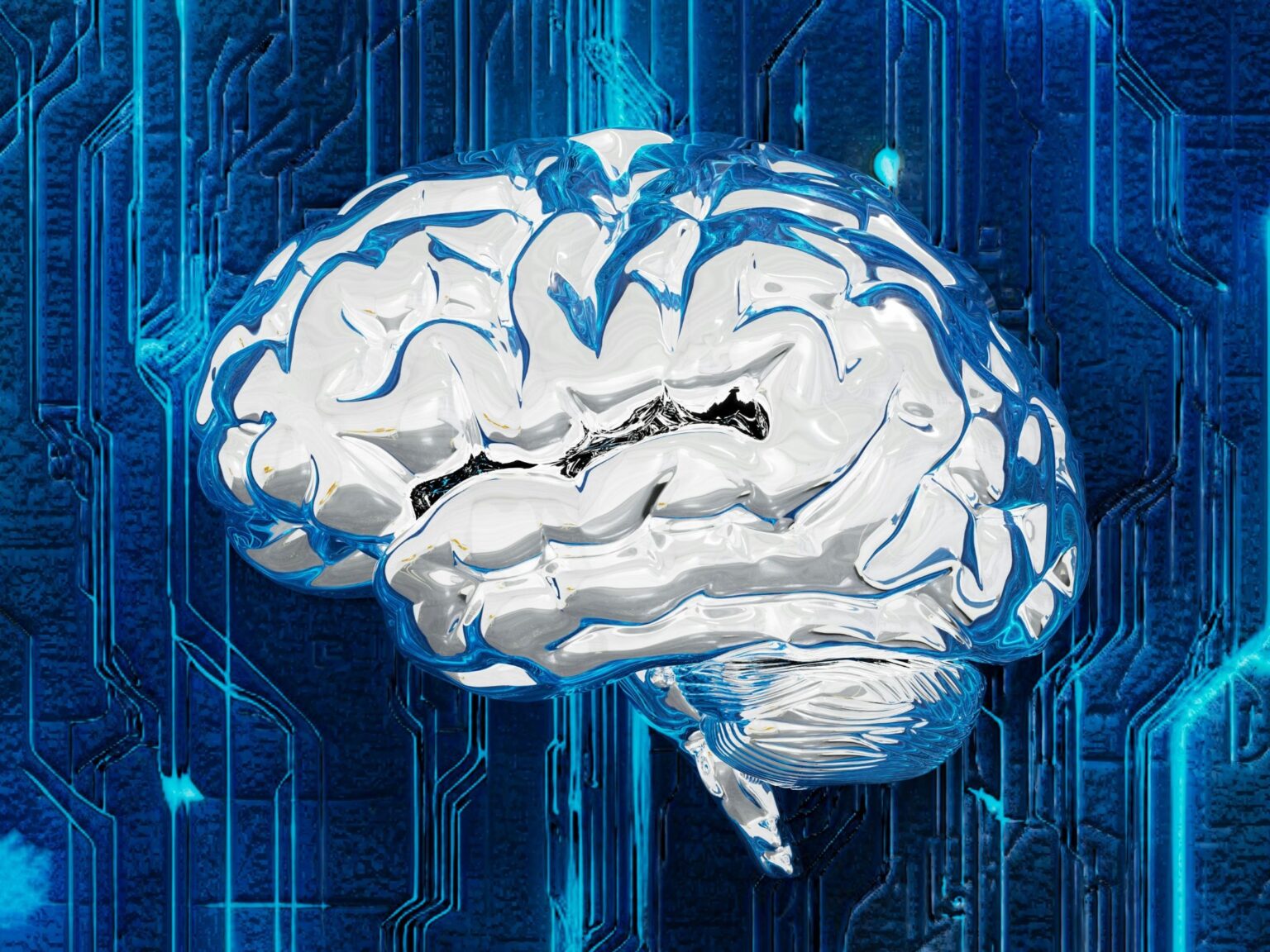 CAMIA privacy attack reveals what AI models memorise CAMIA privacy attack reveals what AI models memorise