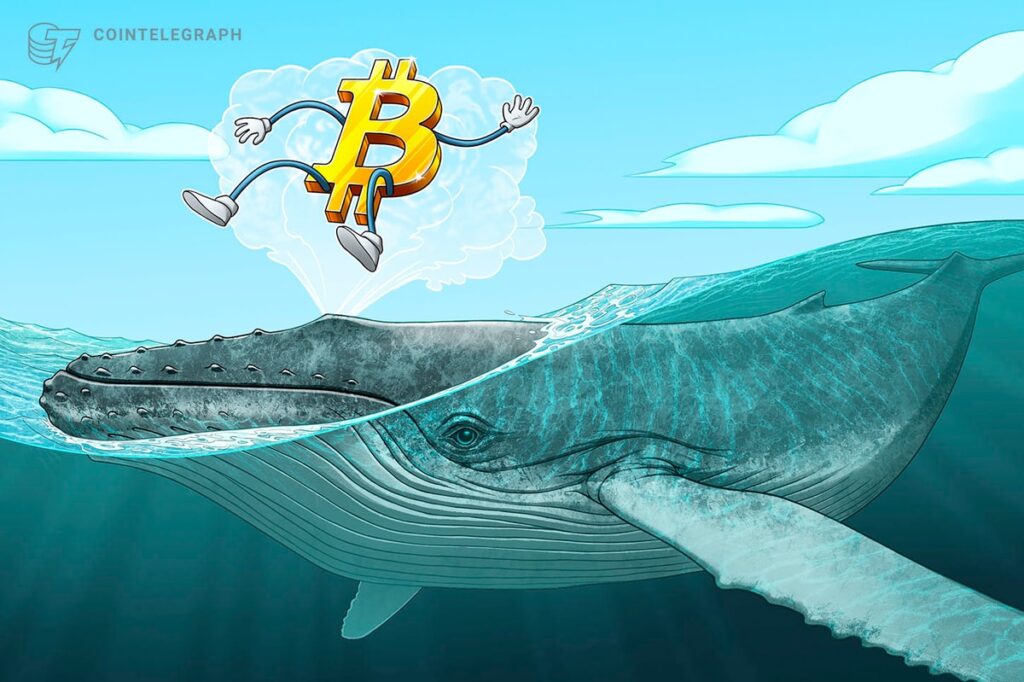 $11B Bitcoin Whale Returns After 2 Months, Transfers $360M BTC $11B Bitcoin Whale Returns After 2 Months, Transfers $360M BTC