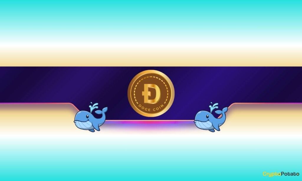 Is Dogecoin Gearing up for Further Rally? Is Dogecoin Gearing up for Further Rally?